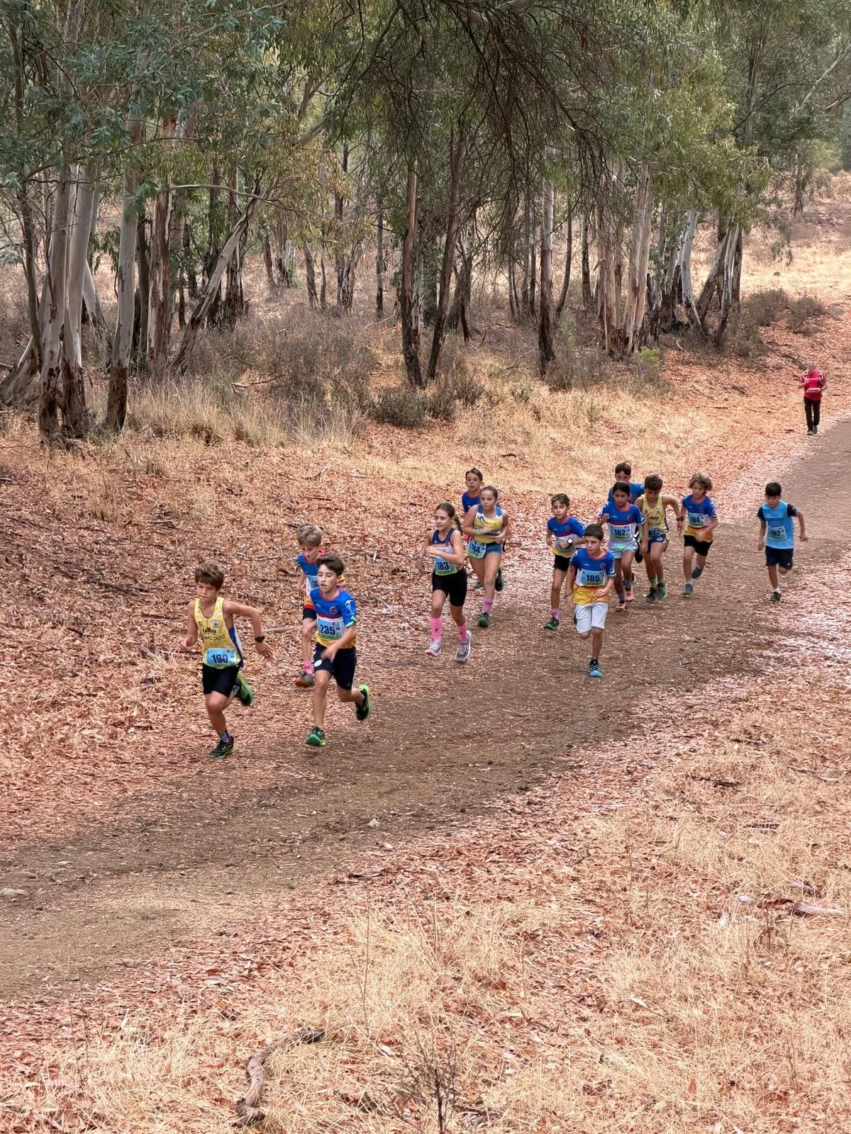 Children running along a eucalyptus-lined path on Guillena's Ruta del Agua