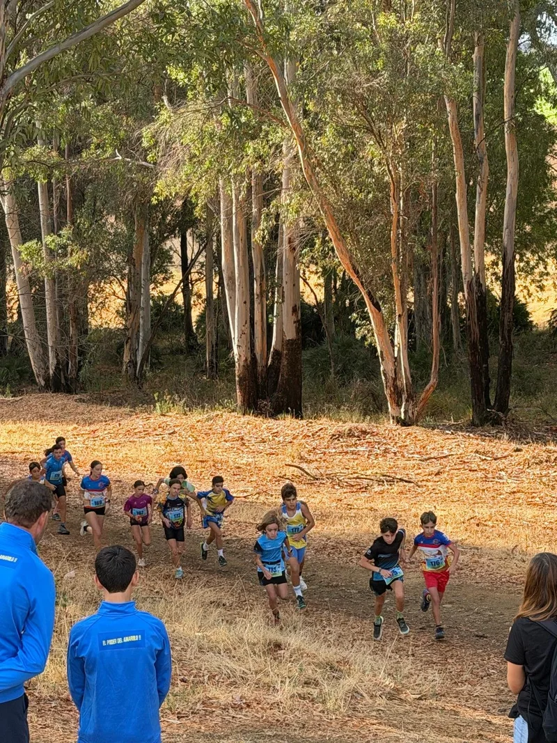 Group of school-age runners during the mountain race in Guillena